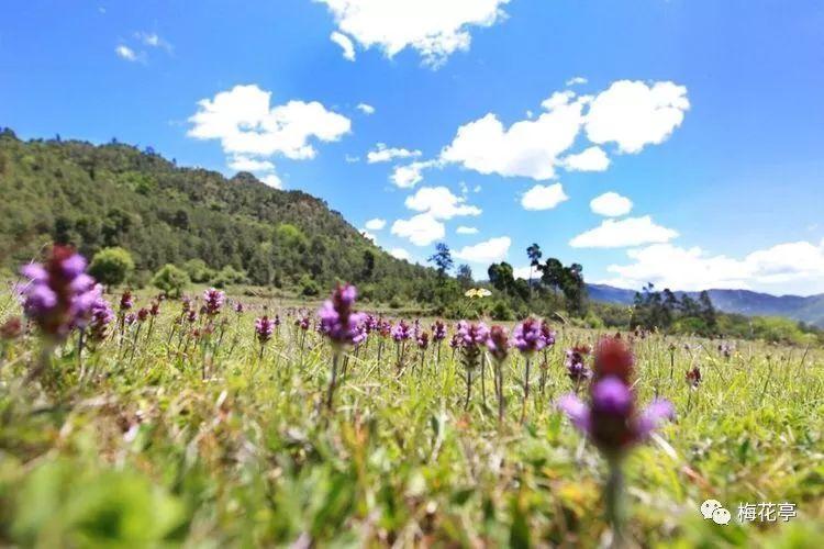 《繁花》里人人都讨厌的她，我却很欣赏